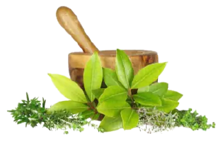 Natur’Eau Vie Natur'Eau Vie