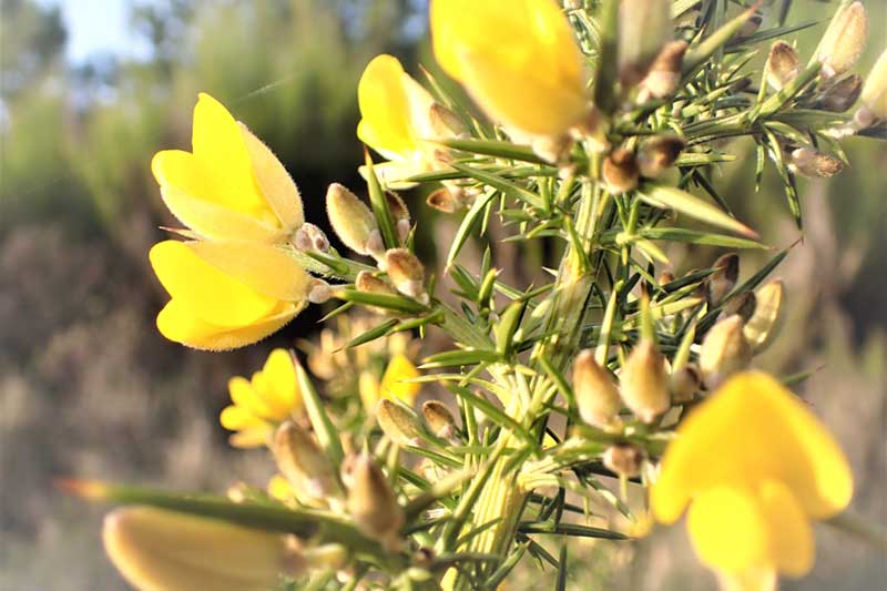 Natur’Eau Vie Natur'Eau Vie