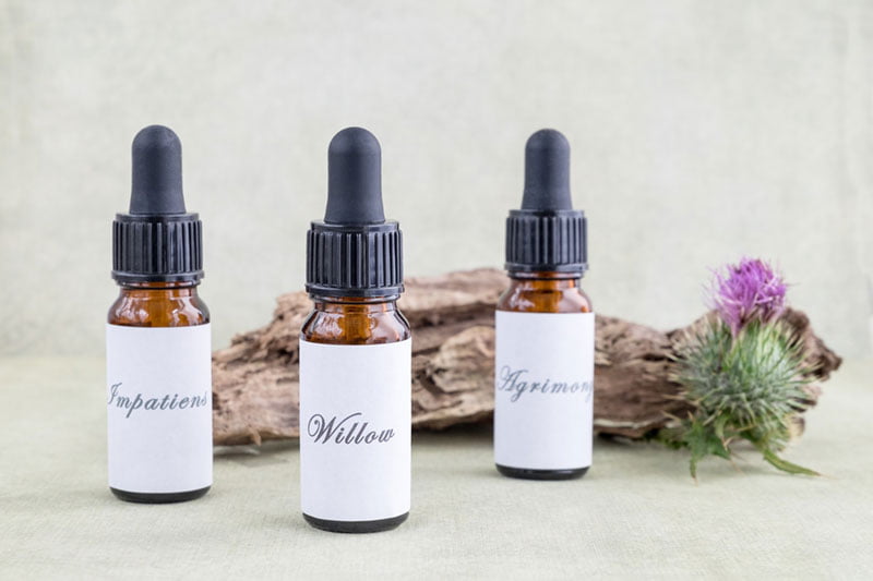 Natur’Eau Vie Natur'Eau Vie